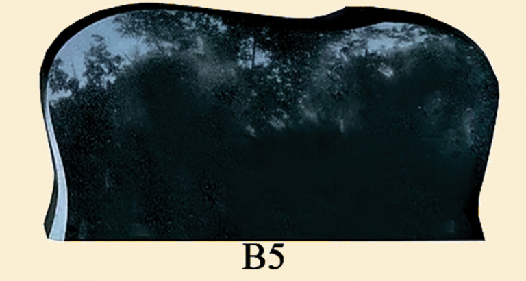 памятники гранитные двойные Чернигов