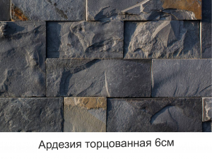 АрАрдезия торцованная 6 см